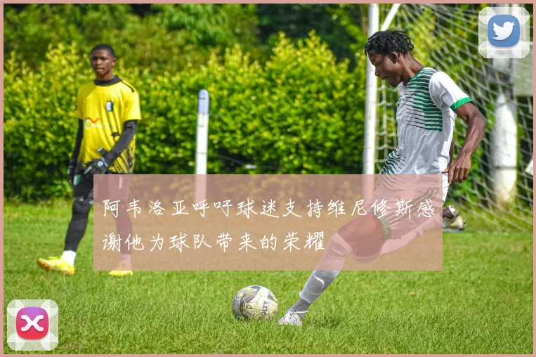 阿韦洛亚呼吁球迷支持维尼修斯感谢他为球队带来的荣耀