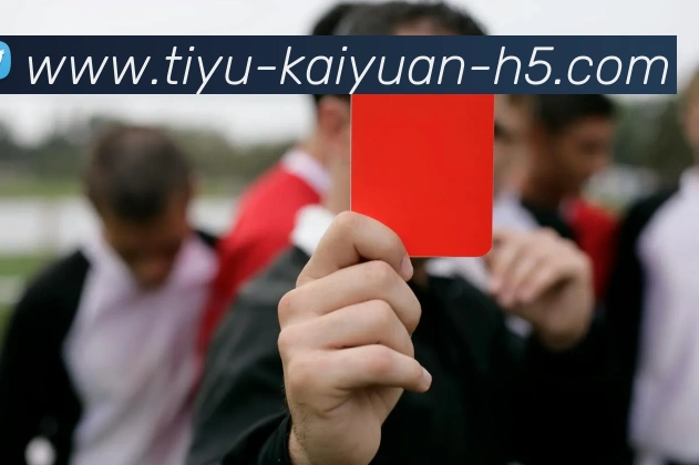 App Interface Preview