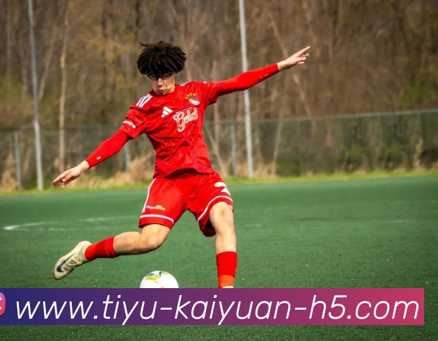 开元体育APP 封面图