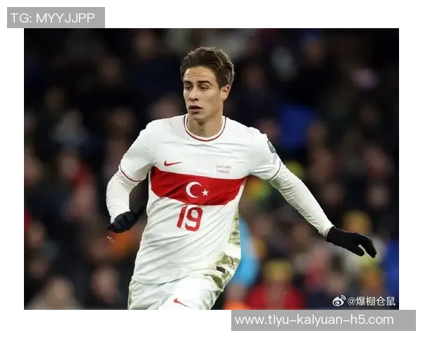 土耳其国家队新名单公布居莱尔恰尔汗奥卢伊尔迪兹入选乌尊未能入选